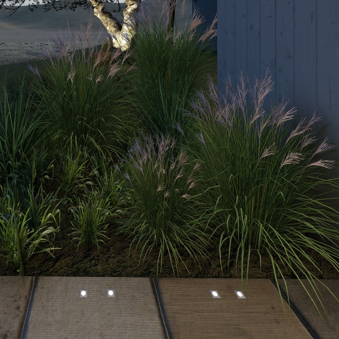 Robijn Mini Vierkant